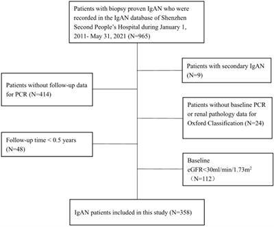 A mixed-method evaluation of the relationship between Oxford classification scores and longitudinal changes in proteinuria in patients with immunoglobulin A nephropathy